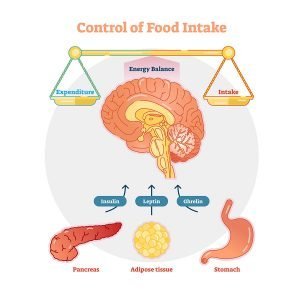 Why You're Still Feeling Hungry After Eating [And How to Stop It]